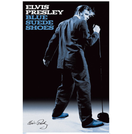 Blue Suede Shoes - Poster